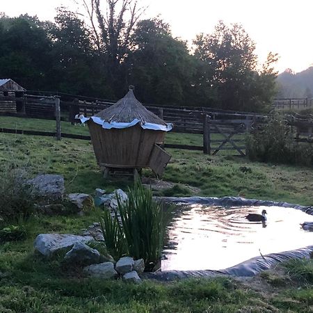 Manerbe Le Champ Des Possibles Bed & Breakfast エクステリア 写真