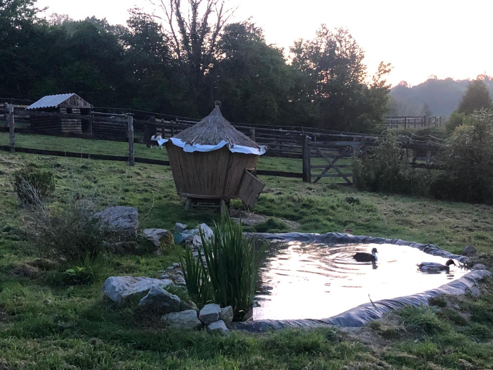 Manerbe Le Champ Des Possibles Bed & Breakfast エクステリア 写真
