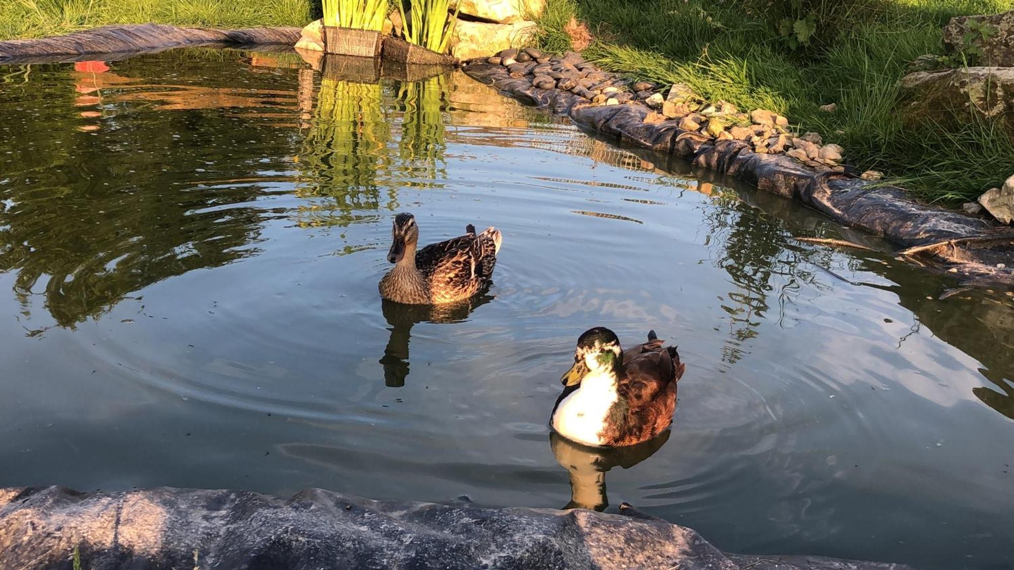 Manerbe Le Champ Des Possibles Bed & Breakfast エクステリア 写真