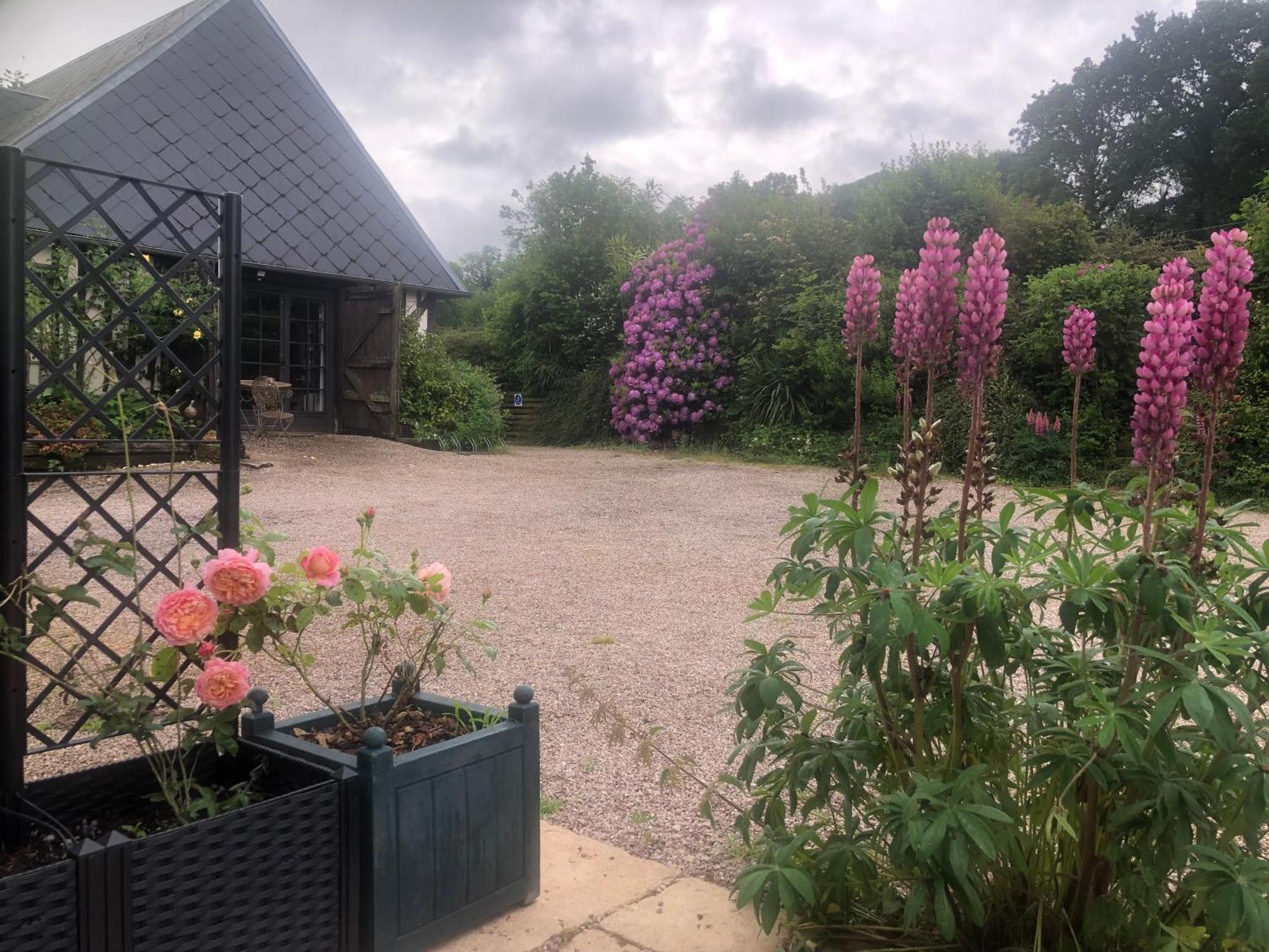 Manerbe Le Champ Des Possibles Bed & Breakfast エクステリア 写真