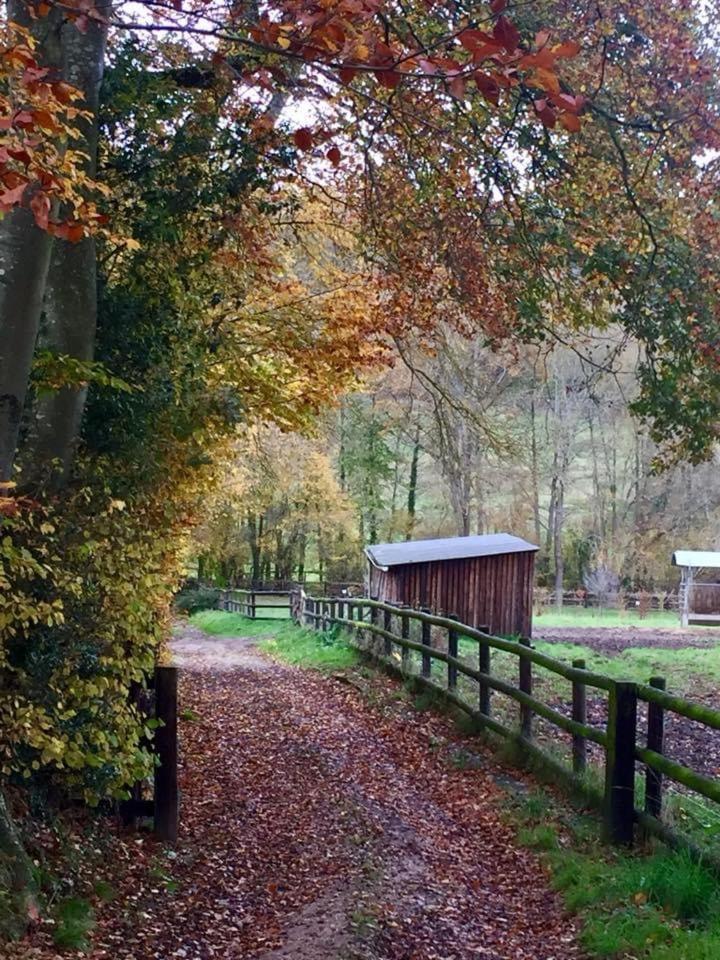 Manerbe Le Champ Des Possibles Bed & Breakfast エクステリア 写真