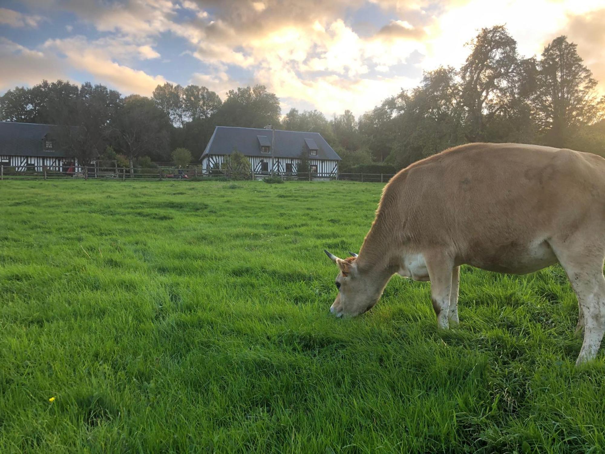 Manerbe Le Champ Des Possibles Bed & Breakfast エクステリア 写真