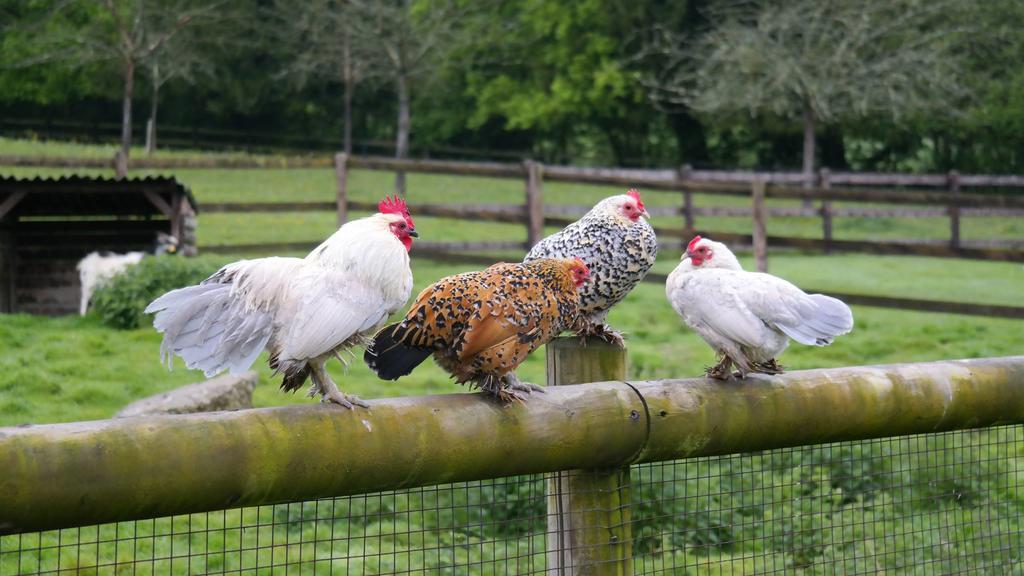 Manerbe Le Champ Des Possibles Bed & Breakfast エクステリア 写真